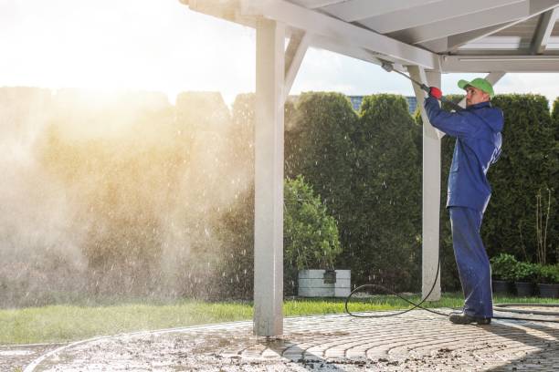 Best Pool Deck Cleaning  in Wells Branch, TX